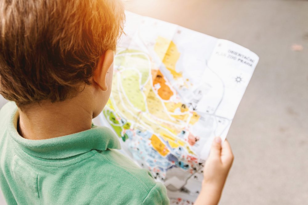 Boy looking at a map