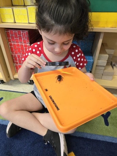 Child looking at bug through magnifying glass