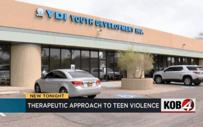 YDI’s Therapeutic Approach to Teen Violence Shows Promising Results