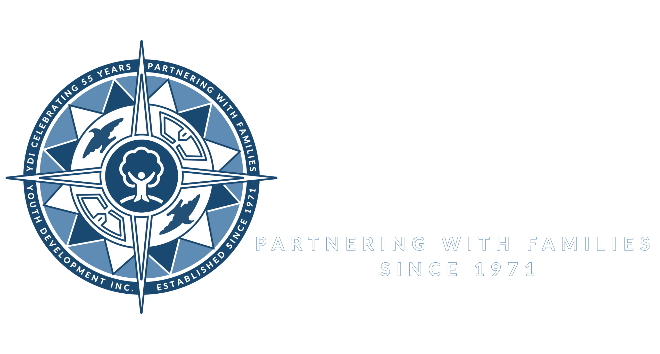 YDI logo reverse